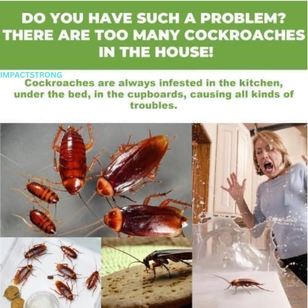 Cockroach Killer Gel🔥🔥🔥